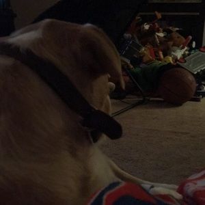 Meet your Posher, Karina